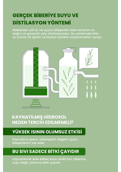 Royues Biberiye Suyu Saç Toniği 150 ML