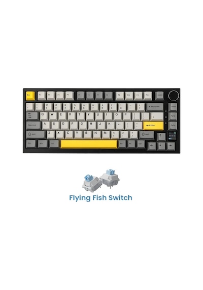 Ak820 Pro Mekanik Oyun Klavyesi,3 Modlu Tft Renkli Ekran Ve Cnc Düğmeli 81 Tuş,rgb Aydınlatma