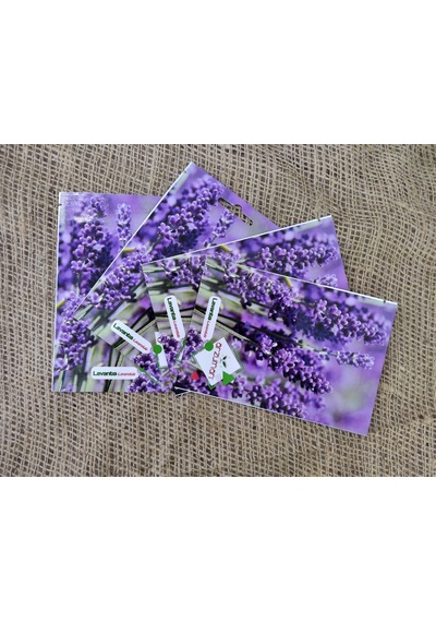Lavanta Tohumu 4 Paket 400 Adet Lavandula Lavanta Çiçeği Tohumu