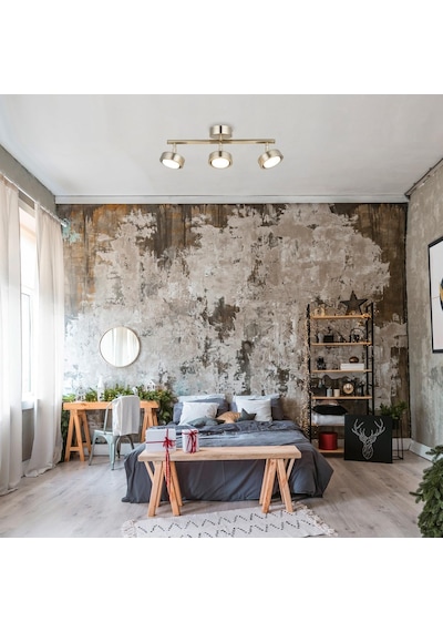 Lucea Zeon 3'lü Antik Lak Aplik 3xgx5.3 Çok Renkli