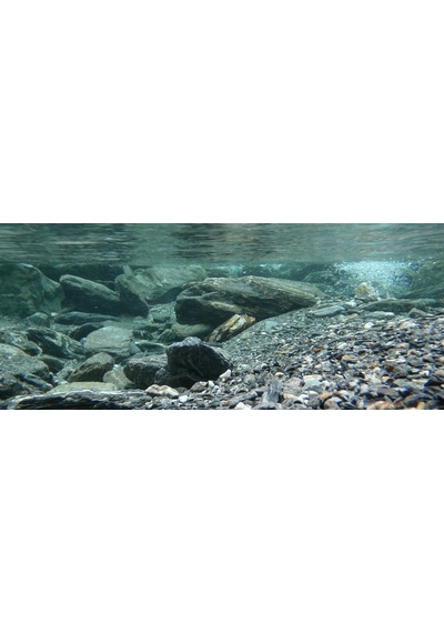 Kanki Pet Kp1556531 Akvaryum Arka Fon Yapıştırma 155 X 65 Cm