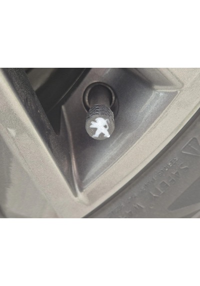 Peugeot Sibop Kapağı , Peugeot Araç Lastik Sibop Kapağı , Peugeot Araç Tekerlek Sibop Kapağı - 4 Ad
