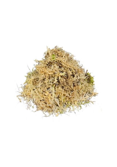 Sphagnum Yosunu 10 Lt