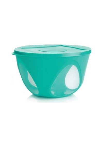Tupperware Tutku Kap 43 L Saklama Servis Kabı Esc Çok Renkli