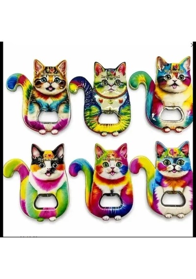Hubrendy Emin Kedi Tasarımı İstanbul Temalı Buzdolapı Süsü Magnet 23186761