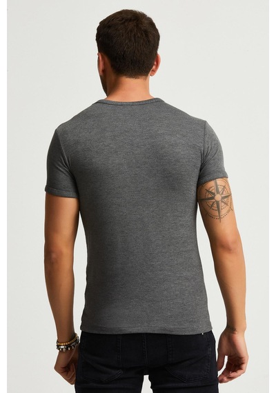 Alexandergardı Slim Fit Basic T-shirt E22-746a Antrasit