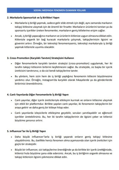 100 Adımda Fenomen Olmanın Yolları Kitabı