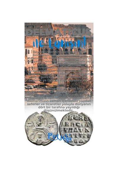 Petjoo 28.Delmaticus Mavi-Gri Qr'lı Köpek Künyesi