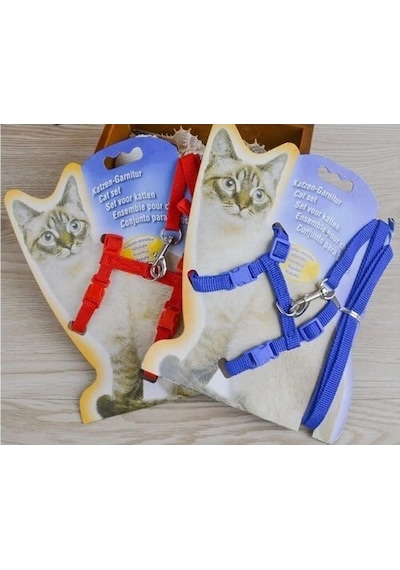 Kedi Boyun Ve Göğüs Tasması - 24242414431sa