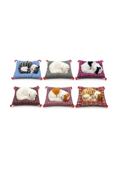 Yastıkta Uyuyan Kedi Sesli Alk24 diğer