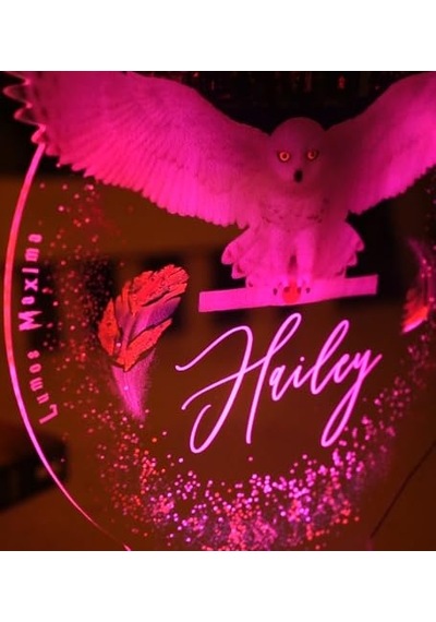 Harry Potter Hediyesi Hogwarts Hedwig 3d Led Lamba, Hediye Baykuş Gece Lambası