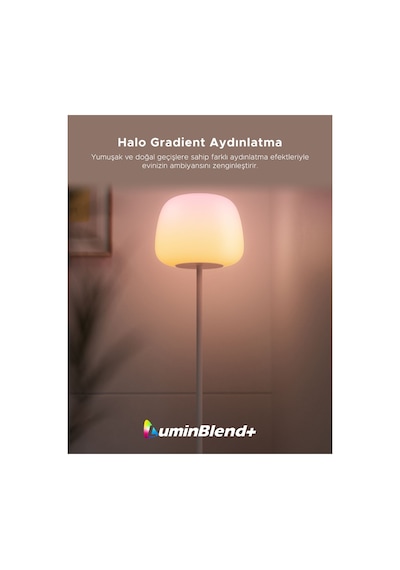 Govee Lantern Köşe Lambası 1.60cm 1000-10000 Kelvin Renk Sıcaklığı R1630c01 RGB