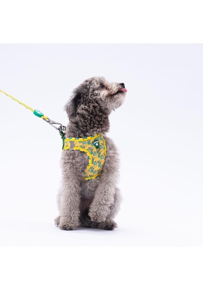 Cactus Leash Kedi Köpek Sevk & Gezdirme Kayışı Köpek Uzatma Tasması-1,5cm Sarı
