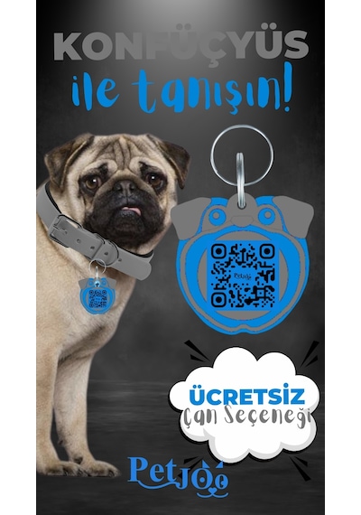 Petjoo 9.Konfüçyüs Mavi-Gri Qr'lı Köpek Künyesi