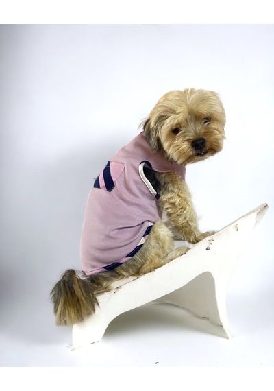 Light Purple Bb Atlet Köpek Kıyafeti Köpek Elbisesi