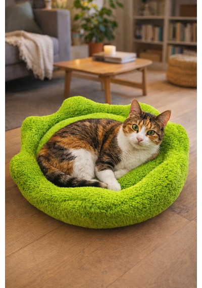 Çiçek Kedi Yatağı