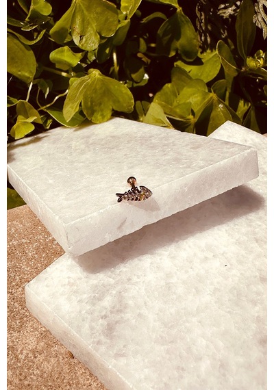 Balık Tasarım Özel Tasarım Rose Gold Renk Stainless Steel Çelik Tragus Helix Piercing