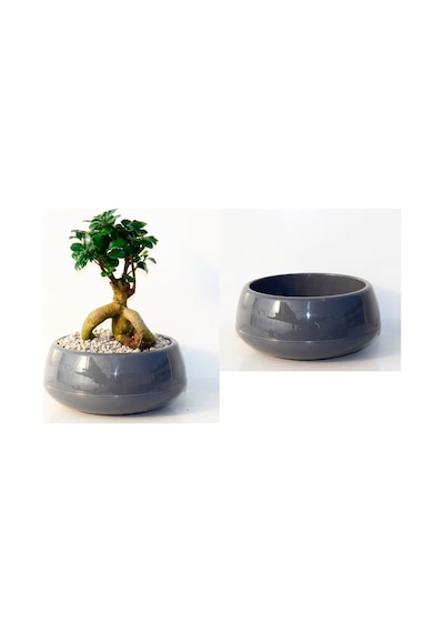 Bonsai Saksısı Antrasit 2 Lt - Drenaj Hazneli