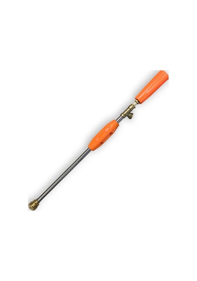 Tabanca Çin  Sari Gövdeli 60 Cm ( 2 Adet )
