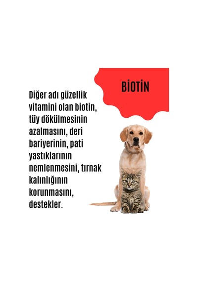 Tüy Dökülmesini Engelleyen Kedi Ve Köpekler İçin Tüy & Deri Güçlendirici Özel Destek Ürünü