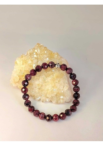 Lal Granat Garnet Taşı Faset Kesim 8mm Unisex Bileklik 42515 Çok Renkli