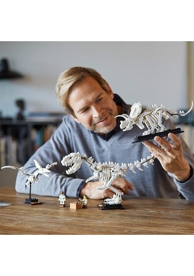 LEGO® Ideas 21320 Dinozor Fosilleri 910 Parça