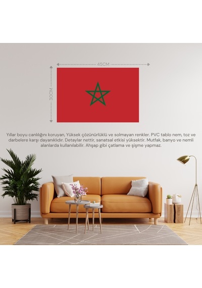 Fas Ülke Bayrağı 45x30cm Duvar Tablosu Çerçevesiz Pvc Tablo Diğer