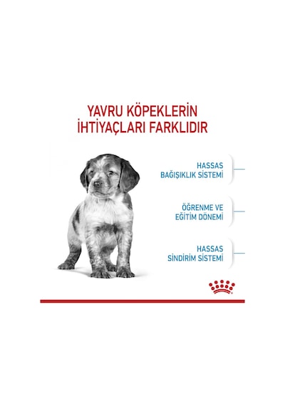 Royal Canin Junior Orta Irk Yavru Köpek Maması 4 KG