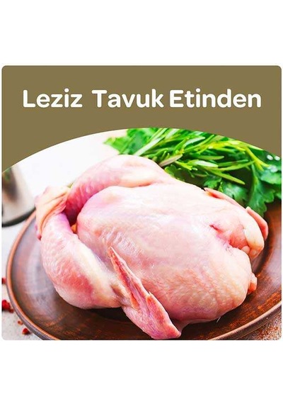 Luis Renkli Taneli Tavuklu Kedi Maması 15 Kg
