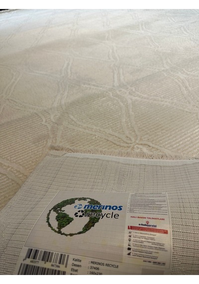 Recycle Halı Salon, Oturma, Yatak Odası Halısı Desen Kodu 37406-061 Renkli