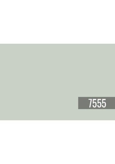 Jotun Soft Mint 7555 Fenomastic Güzel Evim Serisi Zengin Mat