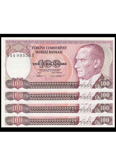 7 Ems A44 4 Adet Seri Talipli 100 Lira Çil