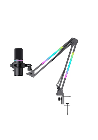 Havit Gamenote Gk60 Pro Rgb Profesyonel Oyuncu Yayıncı Mikrofonu