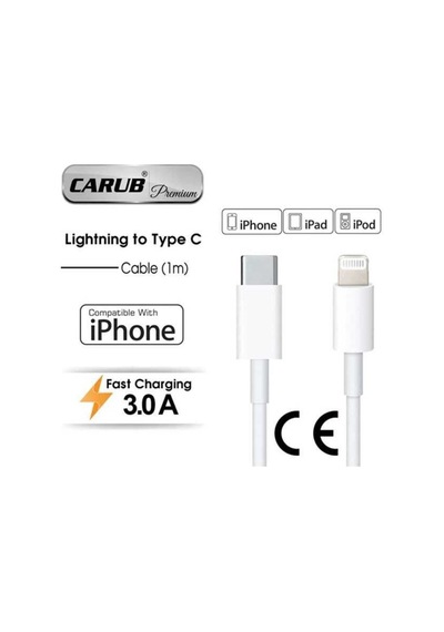 Hızlı Sarj Cihazı 3,0a Usb-type-c 1 Mt Kablolu