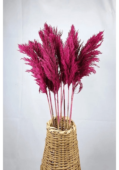 Şoklanmış Renkli Pampas Demeti 10'lu Set Pembe