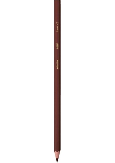 Bic Kids Evolution Kuru Boya Kalemi 36 Renk Metal Tüp 968491
