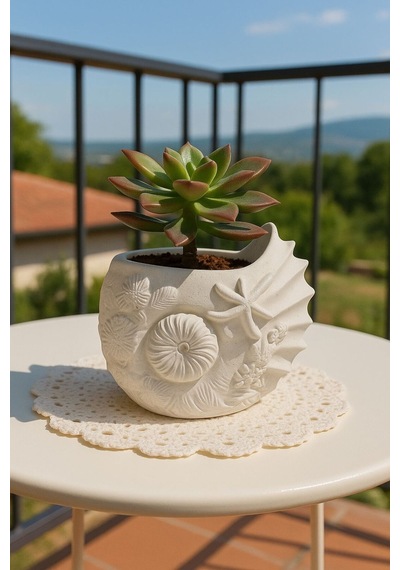 Dekoratif Deniz Kabuğu Kabartmalı Fırçalık/ Kalemlik / Mini Saksı Düzenleyici Beyaz