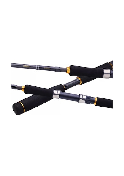 Daiwa Legalis Seabass 2.21m 28-84gr 1+1 Kamış