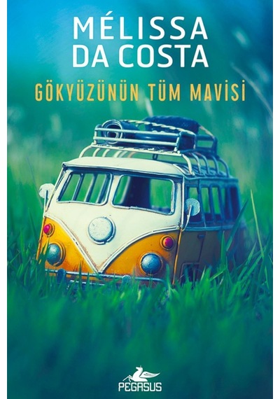 Gökyüzünün Tüm Mavisi