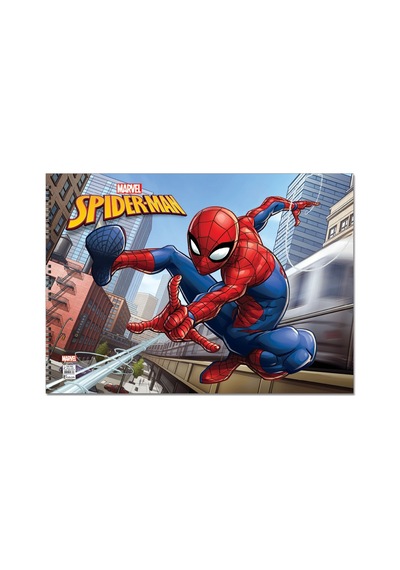 Spider 35 50 15 Yp.resim Defteri