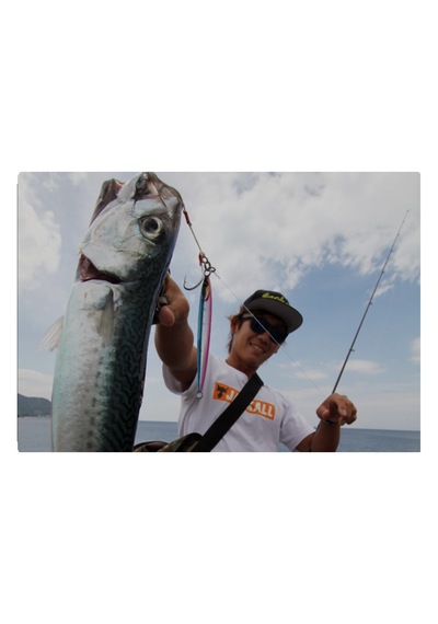 Jackall Big Backer Jig Slide Stick 9.3cm 40gr Jig Yemi