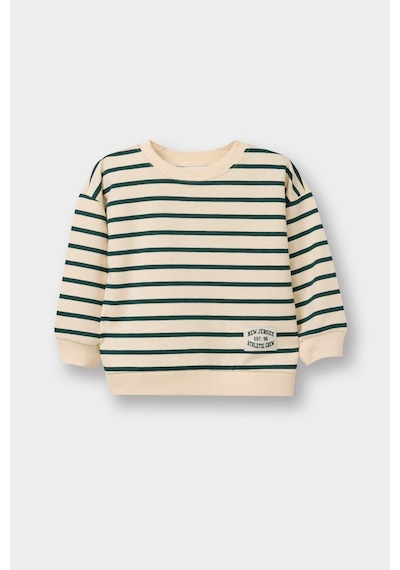 Defacto Erkek Bebek Regular Fit Bisiklet Yaka Çizgili Sweatshirt Kumaşı Sweatshirt E0280a526spbg319 Bej-bg319
