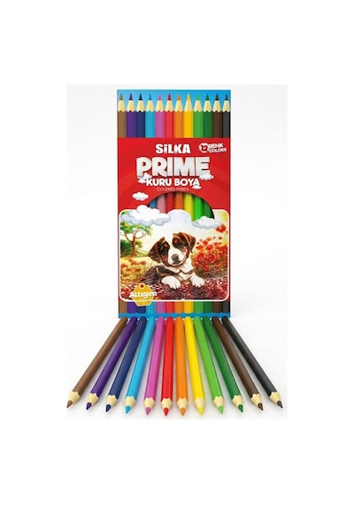 12 Li Kuru Boya Kalemi Karton Kutu 1 Paket Silka 12 Renk Kuruboya Tam Boy Canlı Renkli Boya Kalem Okul Öğrenci Çok Renkli