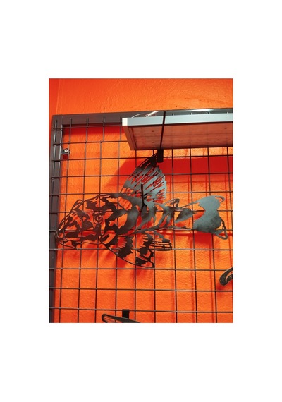 Pleco Işıksız 50cm