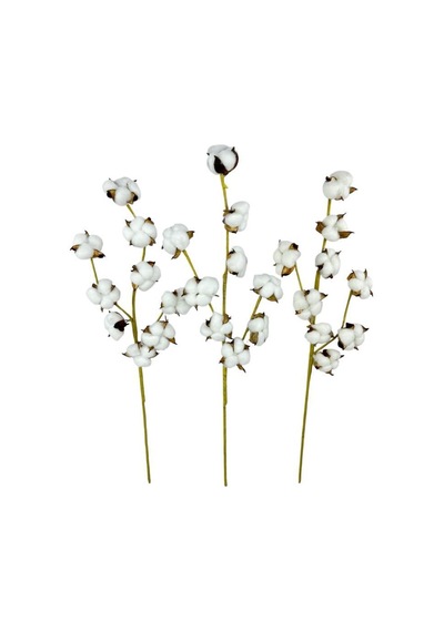 3lü Set Doğal Pamuk Çiçeği 9lu Kuru Çiçek 60cm Yapay Çiçek