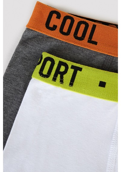 Penti Erkek Çocuk Cool Spor 2li Boxer Çok Renkli
