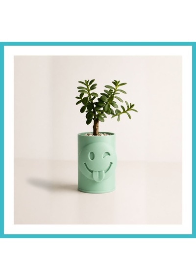 Bezos 3d Baskı Emoji Planter - Göz Kırpan Yüzlü Sukulent Saksısı-mint Dfnbez