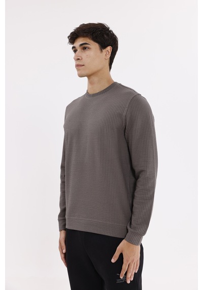 Rowinger Petek Yüzeyli Bisiklet Yaka Rahat Kalıp Lastik Manşetli Mevsimlik Sweatshirt Antracite Rowinger Petek Yüzeyli Bisiklet Yaka Rahat Kalıp Lastik Manşetli Mevsimlik Sweatshirt Antracite