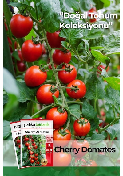 80 Adet Yerli Ata Cherry Domates Tohumu 0.15 KG