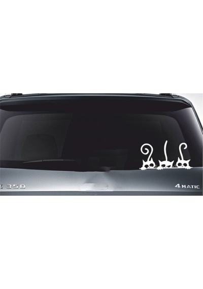 Bagajdan Camdan Arkadan Bakan Kediler Sticker 00755